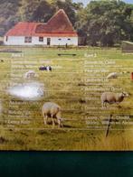 lp de mooiste liedjes over kinderen, Cd's en Dvd's, Vinyl | Overige Vinyl, Ophalen of Verzenden