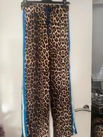 .*nieuw* leopard pantalon Giorgia mt S/M, Kleding | Dames, Maat 38/40 (M), Giorgia, Overige kleuren, Nieuw