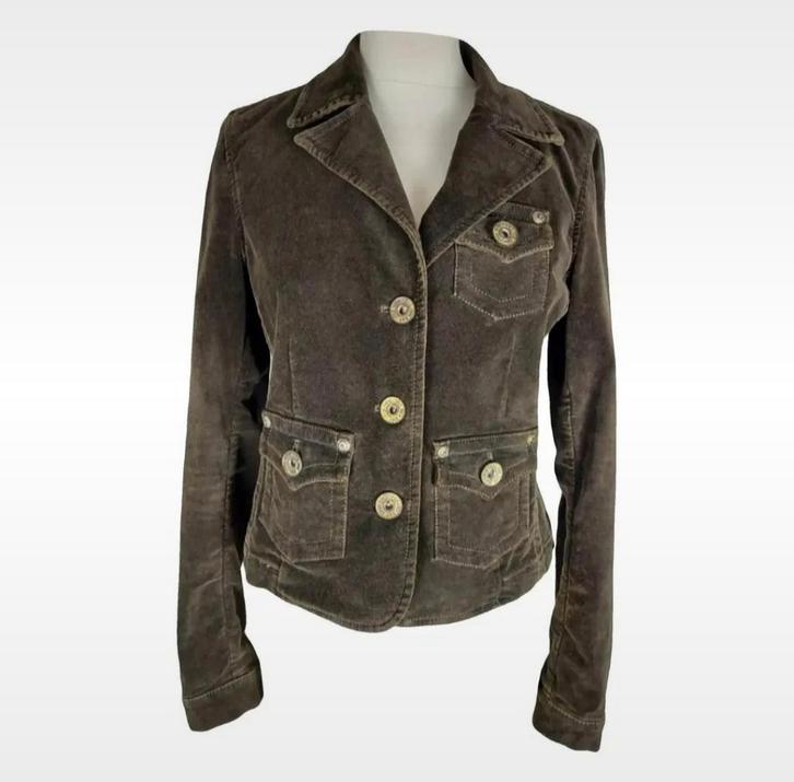 Riani Bruine Velours Blazer Maat 38, Kleding | Dames, Jasjes, Kostuums en Pakken, Zo goed als nieuw, Jasje, Maat 38/40 (M), Bruin
