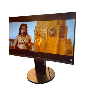 Eizo FlexScan EV2450 24 Inch Monitor | In Nette Staat beschikbaar voor biedingen