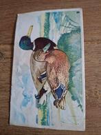 Oude Vogelplaat Wilde Eend, Verzamelen, Ophalen of Verzenden, 1940 tot 1960, Ongelopen