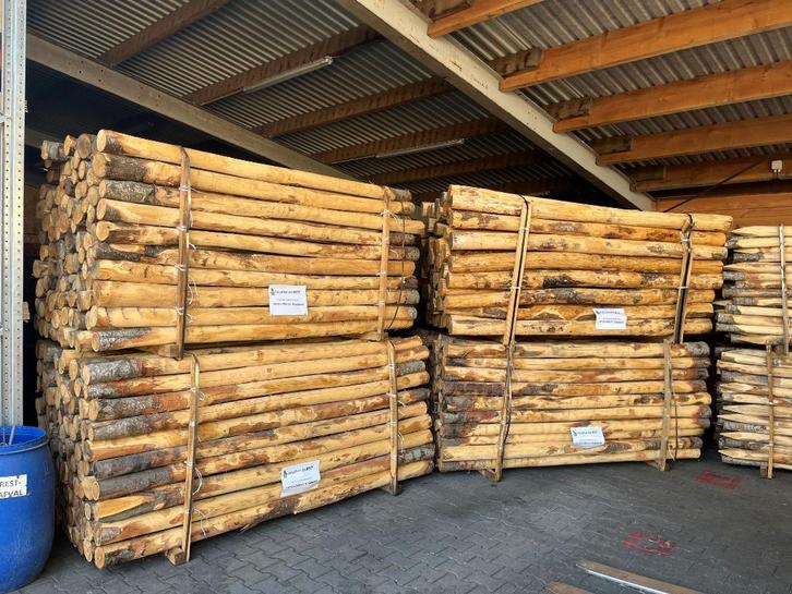 kastanje palen en hekwerk, Tuin en Terras, Palen, Balken en Planken, Nieuw, Palen, 250 cm of meer, Ophalen