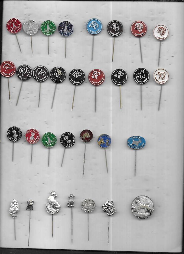 HONDEN VERSCHILLENDE SPELDEN GAAN PER STUK EVENTUEEL, Ophalen of Verzenden, Zo goed als nieuw, Dier of Natuur, Speldje of Pin