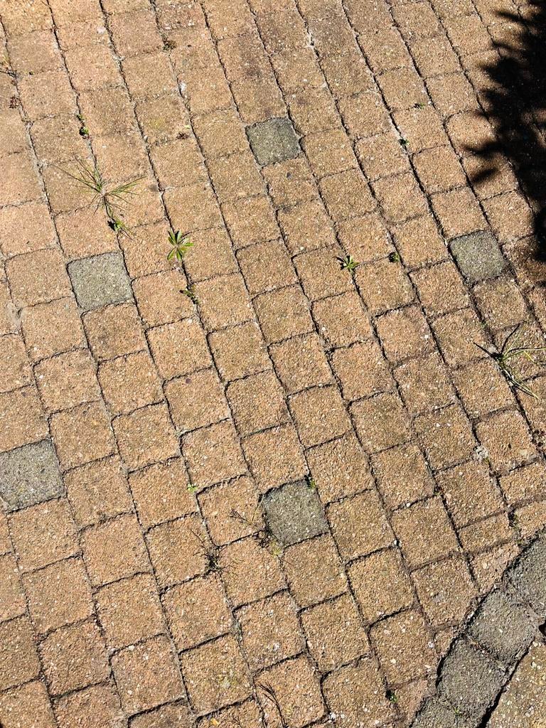 Siersteentjes en siercirkels voor tuin of terras., Tuin en Terras, Tegels en Klinkers, Gebruikt, Klinkers, Beton, Ophalen