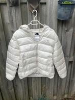 Tommy Hilfiger jas maat 176, Ophalen of Verzenden, Nieuw, Maat 36 (S), Beige