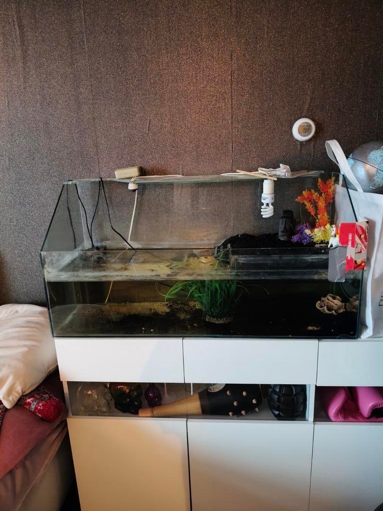 Terrarium met nieuw warmte element en lamp. Bon erbij ., Dieren en Toebehoren, Reptielen en Amfibieën | Toebehoren, Ophalen, Gebruikt