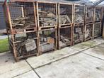 Stalen metalen gaas opslag inclusief Hout, Ophalen, Gebruikt