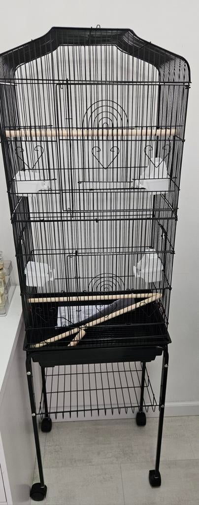 Vogelkooi/parkietenkooi, Dieren en Toebehoren, Vogels | Hokken en Kooien, Ophalen, Zo goed als nieuw, Metaal, Vogelkooi