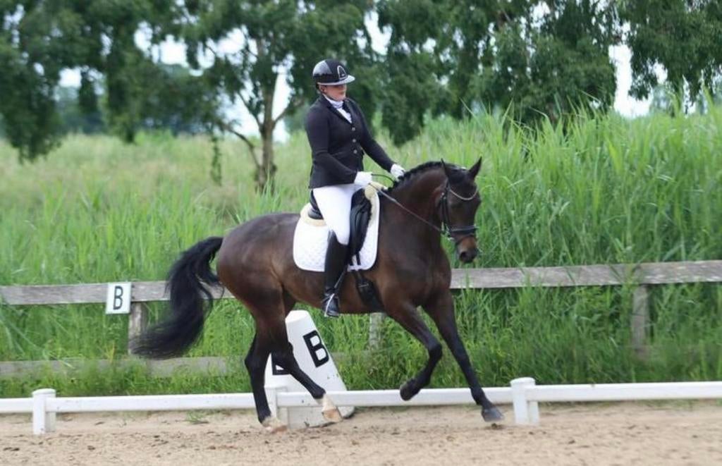 Ervaren bijrijder aangeboden, Ophalen of Verzenden, Nieuw, Dressuur