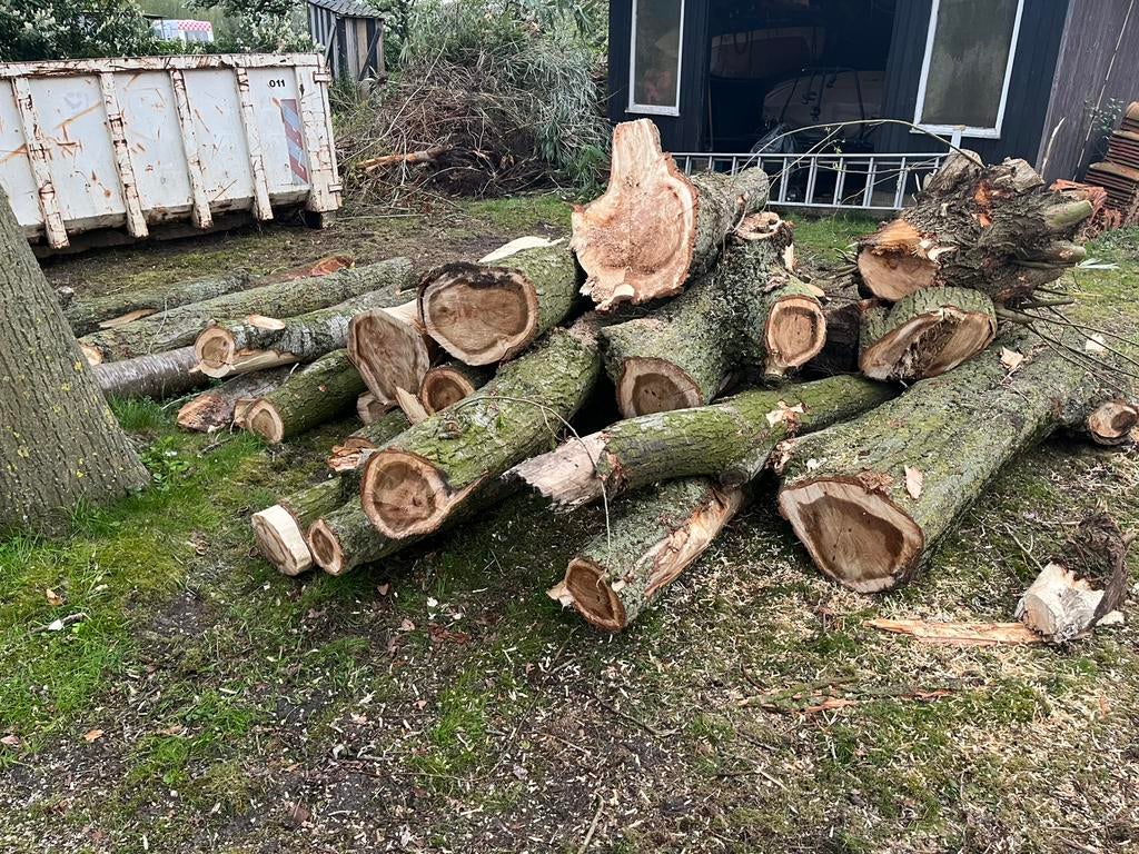 Haardhout stamhout, Tuin en Terras, Haardhout, Minder dan 3 m³, Ophalen of Verzenden