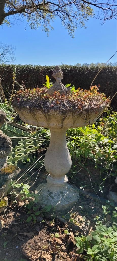 Plantenbak, vogelvoerbak, tuinornament, Ophalen, Beton, Fontein