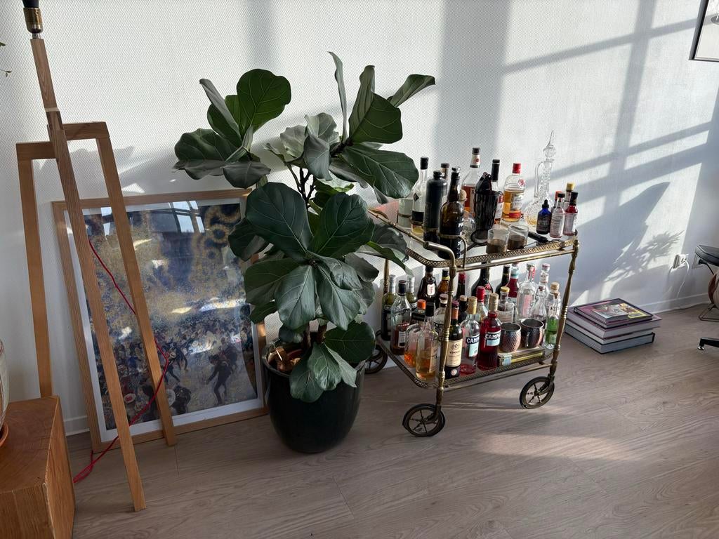 Vintage gouden barcart met glazen platen, Ophalen, Gebruikt