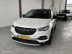 Opel Grandland X 1.2 Turbo Business Edition, Voorwielaandrijving, Gebruikt, 1199 cc, Wit