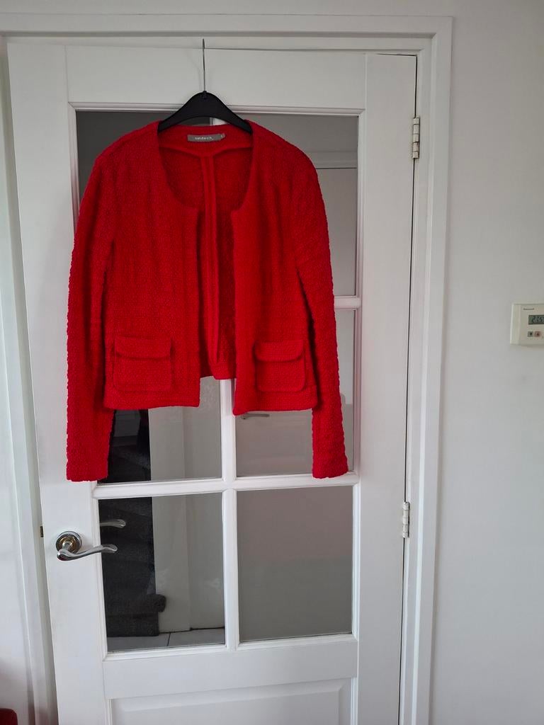 Rood jasje, Kleding | Dames, Maat 42/44 (L), Ophalen of Verzenden, Zo goed als nieuw, Jasje