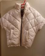 Puffer Bodywarmer, Kleding | Dames, Bodywarmers, Ophalen of Verzenden, Nieuw, Wit