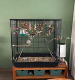 Vogelkooi/mini volière, Dieren en Toebehoren, Ophalen, Metaal, Vogelkooi