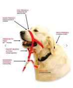 Halti Headcollar hoofdriem maat 2, Ophalen of Verzenden, Nieuw