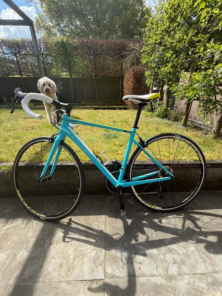 Dames Racefiets Cube maat 53, Fietsen en Brommers, Fietsen | Racefietsen, 26 inch, Aluminium, 49 tot 53 cm, Zo goed als nieuw