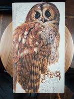 Het Beste Vogelboek - Reader's Digest, Ophalen of Verzenden, Gelezen, Vogels