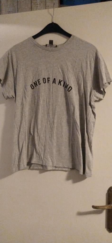 Mooie grijze shirt maat 42/44, Kleding | Dames, T-shirts, Maat 42/44 (L), Ophalen of Verzenden, Korte mouw, Grijs