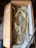 Vintage skelet met stalen poot - Anatomisch model, Ophalen, Gebruikt
