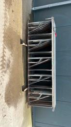 Spinder Voerhekken, Mannelijk