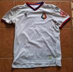 Voetbalshirt Telstar  Robey #15, Ophalen of Verzenden, Shirt