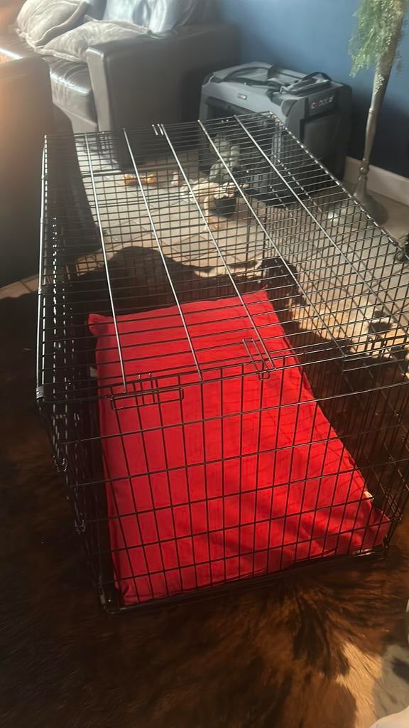 Hondenbench met kussen ( wasbaar), Dieren en Toebehoren, Ophalen, Hondenkennel, 65 tot 100 cm, Zo goed als nieuw