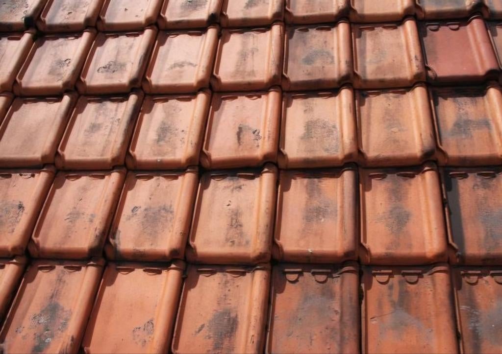 Aangeboden 280 Tule du Nord dakpannen, Ophalen of Verzenden, Steen of Klei, 15 m² of meer, Dakpannen