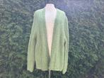 Nieuw Sibin Linnebjerg Alpaca Vest mt XL Groen – NWT (€180), Kleding | Dames, Truien en Vesten, Sibin Linnebjerg, Maat 46/48 (XL) of groter