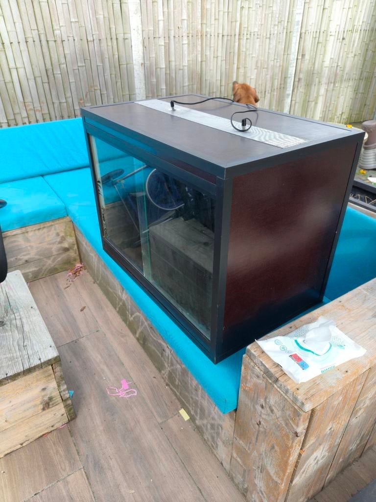 Betonplex terrarium, Ophalen