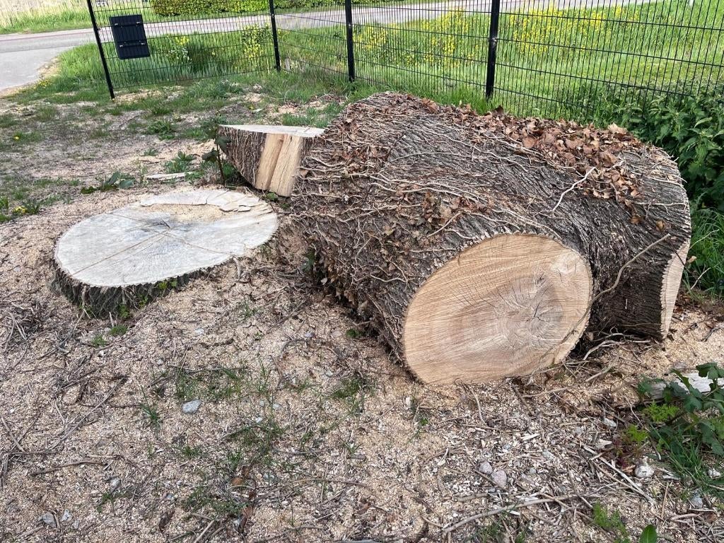 Boomstam/haardhout (Es), zelf zagen,regio Zevenhuizen(ZH), Tuin en Terras, Haardhout, Minder dan 3 m³, Ophalen, Essenhout, Stammen