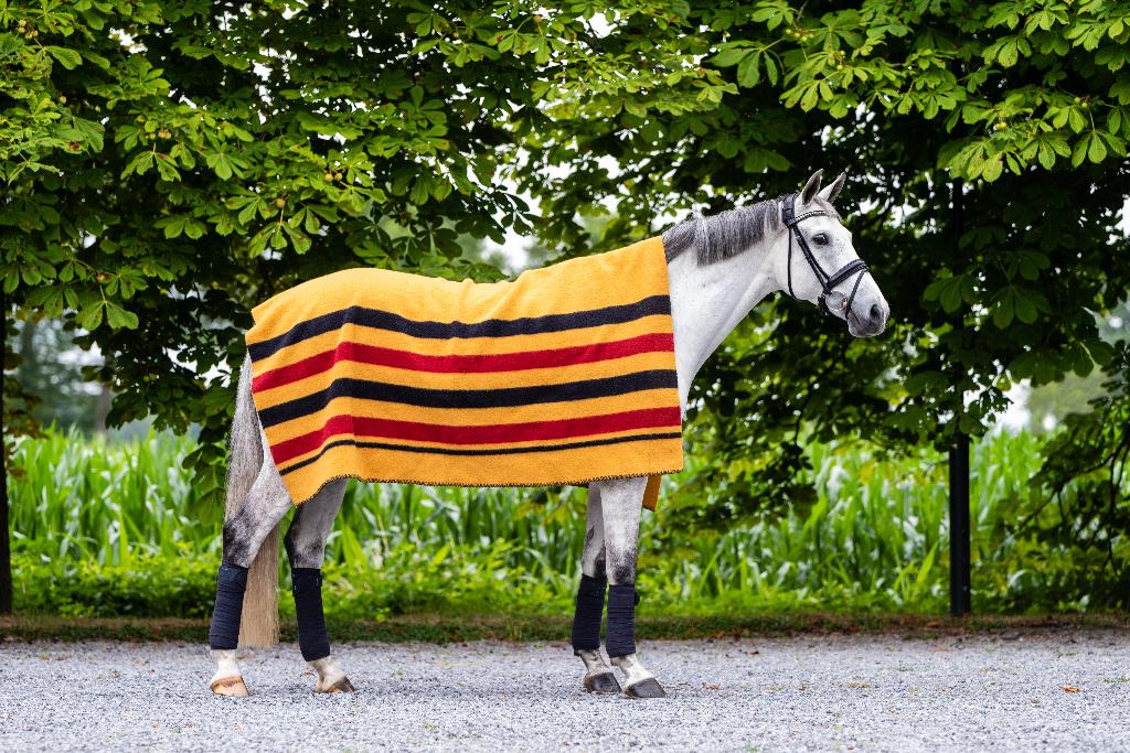 Wollen Dominick deken / Golden Stripe, Dieren en Toebehoren, Ophalen of Verzenden, Nieuw, Deken