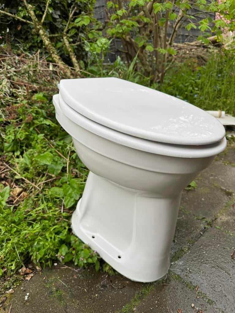 Toiletpot met bril+deksel Gratis, Ophalen, Gebruikt, Toilet