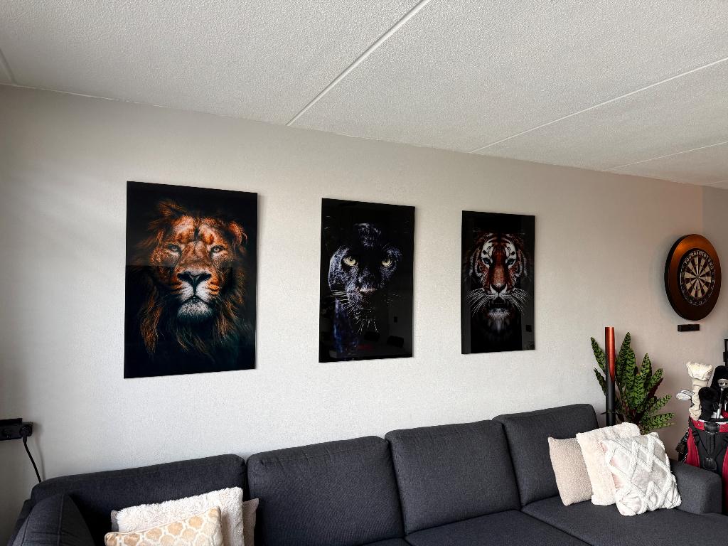 3x big cats glass wallpaper 60x90, Huis en Inrichting, Woonaccessoires | Schilderijen, Tekeningen en Foto's, Zo goed als nieuw