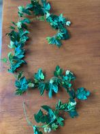 Slinger met Blaadjes en "Hopbloemen" Nieuw, Ophalen of Verzenden, Halfschaduw, Minder dan 100 cm