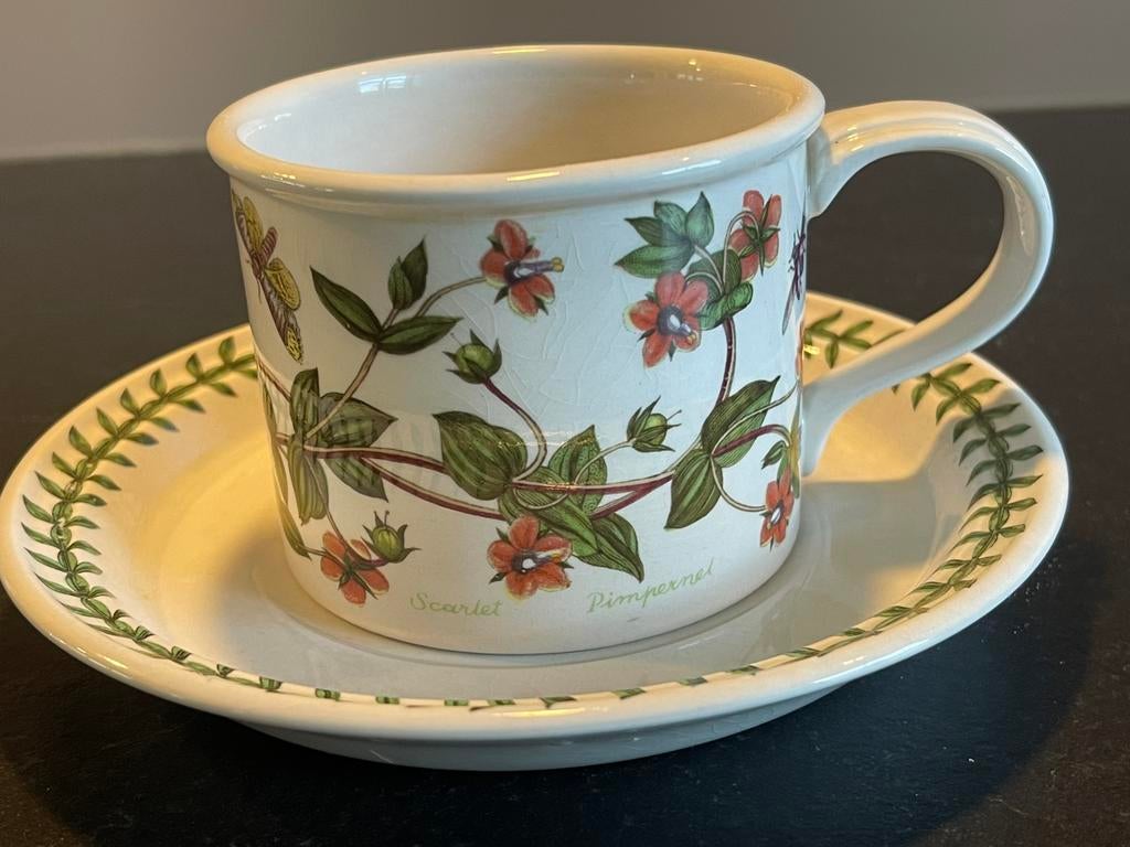 Portmeirion The Botanic Garden Scarlet Pimpernel kop schotel, Gebruikt, Ophalen of Verzenden, Overige stijlen, Kop(pen) en/of Schotel(s)