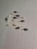 mini muisjes, Ophalen of Verzenden, Materiaal