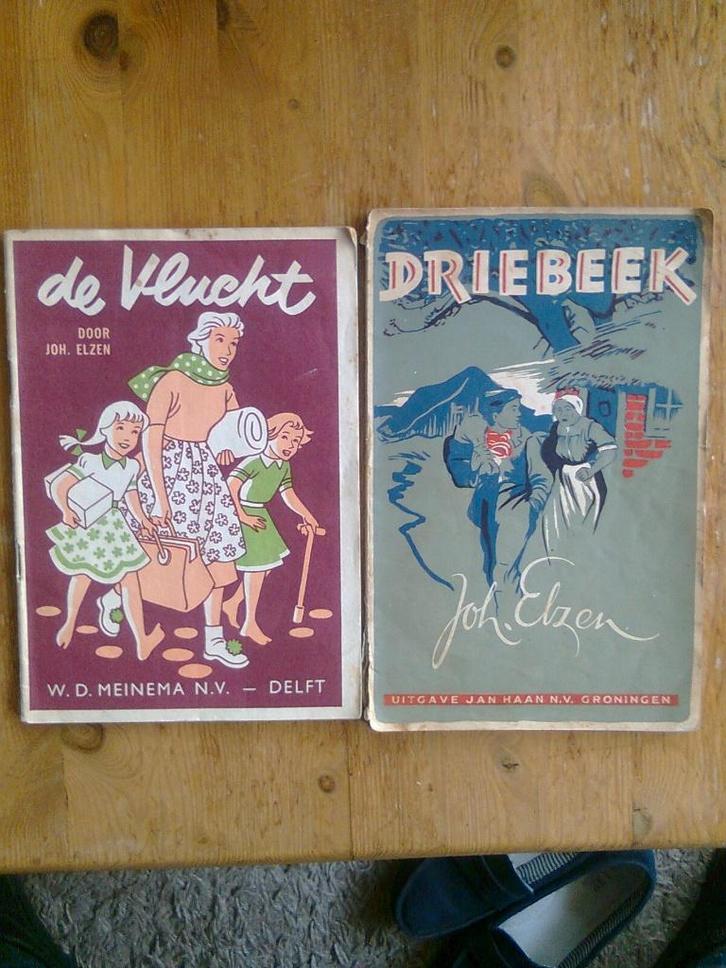 De Vlucht / Driebeek   door Joh. Elzen, Boeken, Kinderboeken | Jeugd | 10 tot 12 jaar, Gelezen, Ophalen of Verzenden