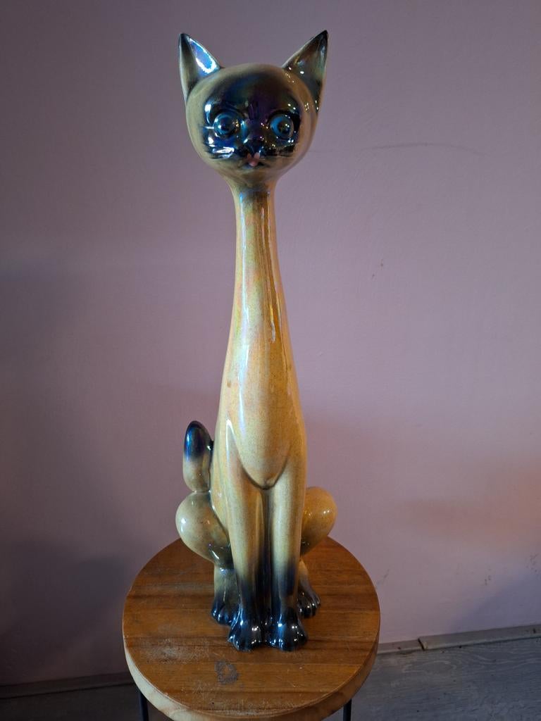 Jema kattenbeelden, Ophalen of Verzenden