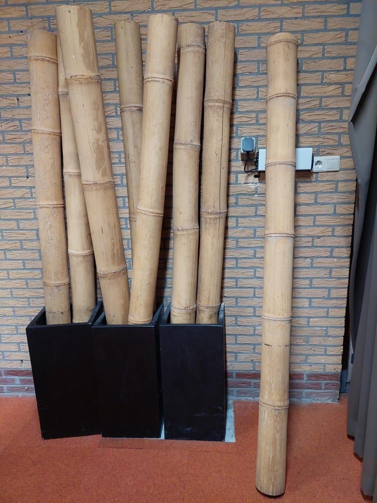 8 bamboepalen 2.10 m, Ophalen, Gebruikt, 180 tot 250 cm, Palen