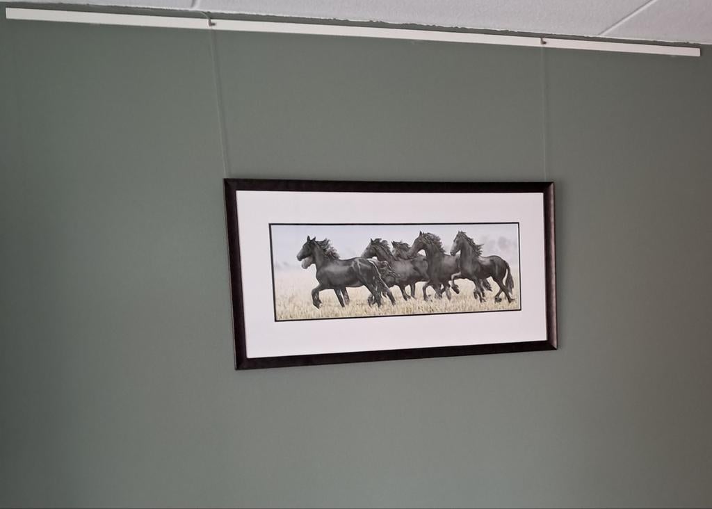 .Heel. Moi je.wiebe van der zee schilderij ophang systeem, Ophalen