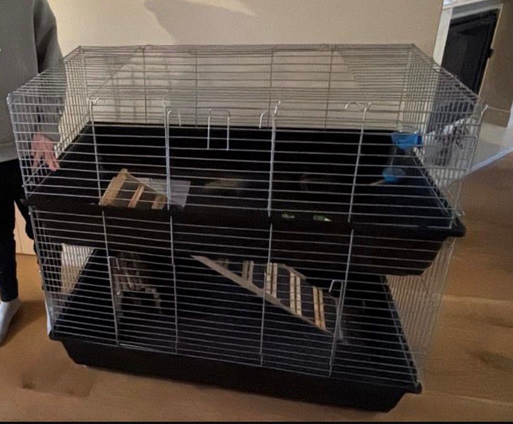 Cavia kooi, Dieren en Toebehoren, Ophalen, Kooi, Gebruikt, 90 cm of meer