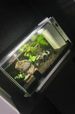 Aquarium superfish home 25, Ophalen of Verzenden