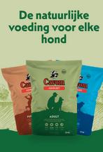 Cavom, Ophalen of Verzenden, Hond