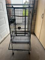Vogelkooi Keddoc, Ophalen of Verzenden, Gebruikt, Metaal, Vogelkooi