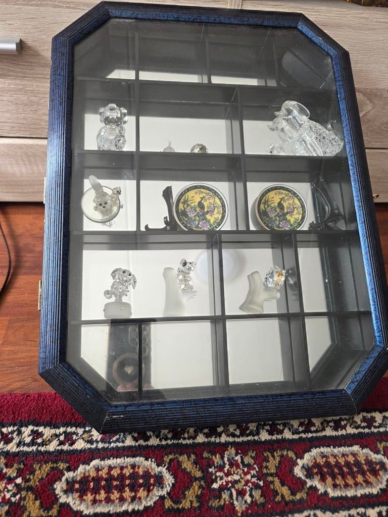 Vitrinekastje donkerblauwe met glazen miniatuur beestjes -, Ophalen, 25 tot 50 cm, Minder dan 50 cm, Minder dan 100 cm