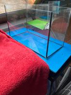 Aquarium. 40/20/25 cm, Ophalen, Leeg aquarium