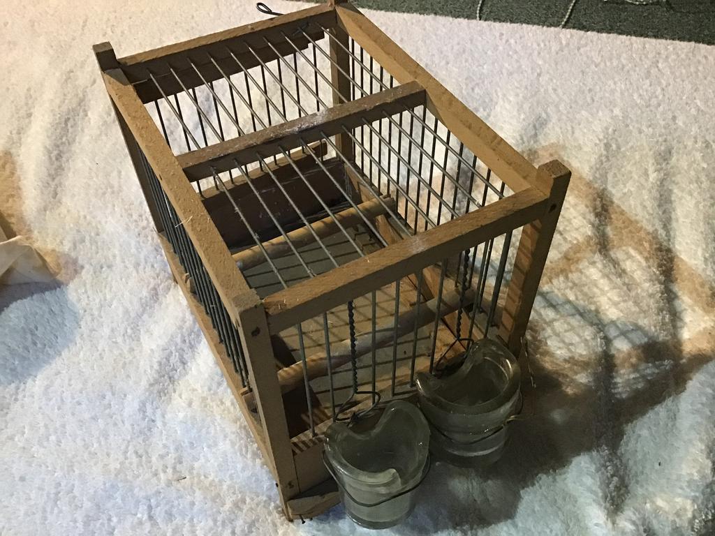 Vogelkooitje, Ophalen, Gebruikt, Hout, Vogelkooi