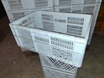 Stevige Kunststof / Veiling Kratten Bakken AGF WO  Vanaf:, Ophalen, 40 tot 60 cm, 50 tot 75 cm, Minder dan 35 cm